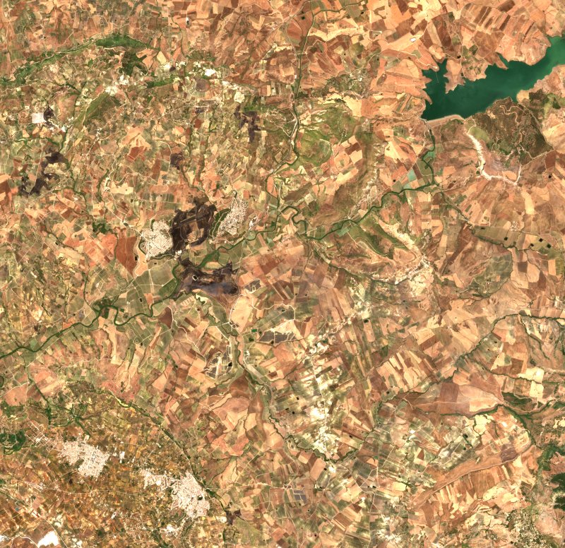 Contessa Entellina (IT) vu par Sentinel-2 le 20 juillet