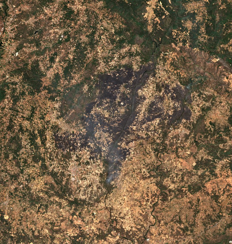 Fornos do Pinhal (PT) vu par Sentinel-2 le 1er août