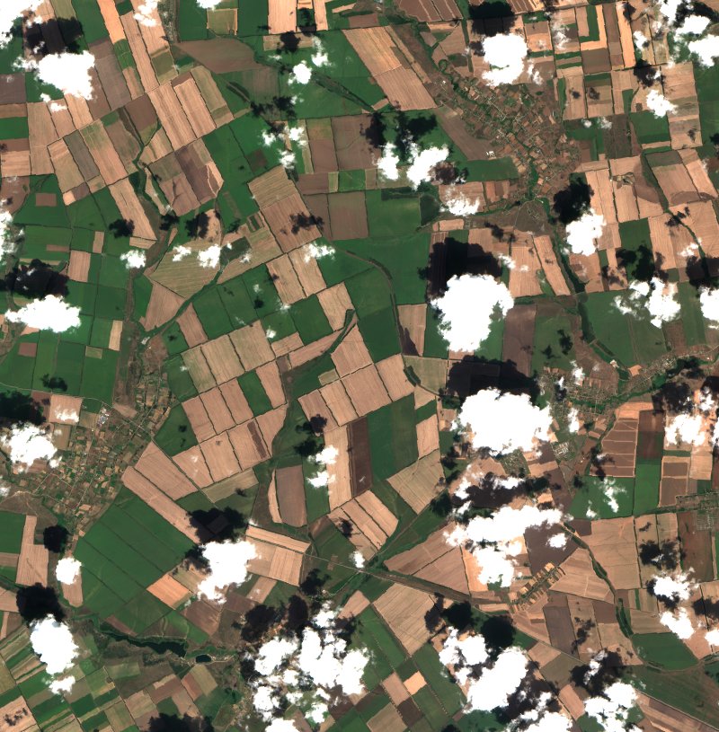 Коларівська сільська громада (UA) vu par Sentinel-2 le 31 juillet