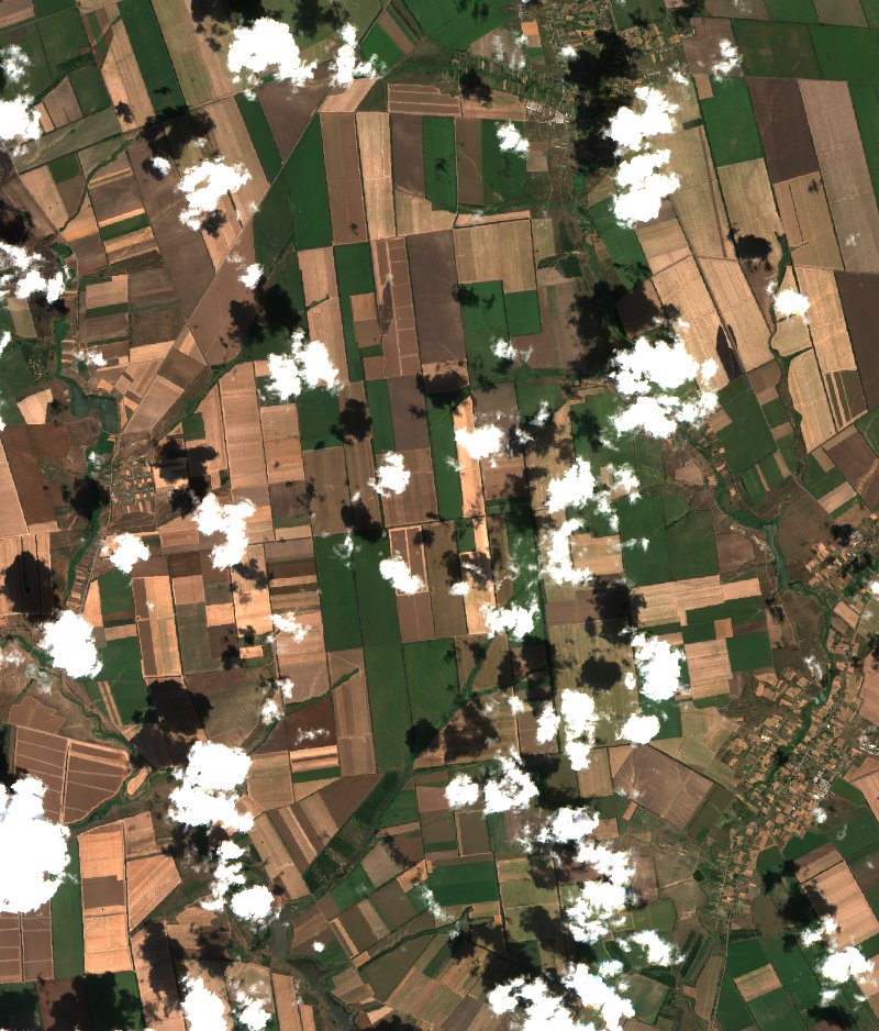Андріївська селищна громада (UA) vu par Sentinel-2 le 31 juillet