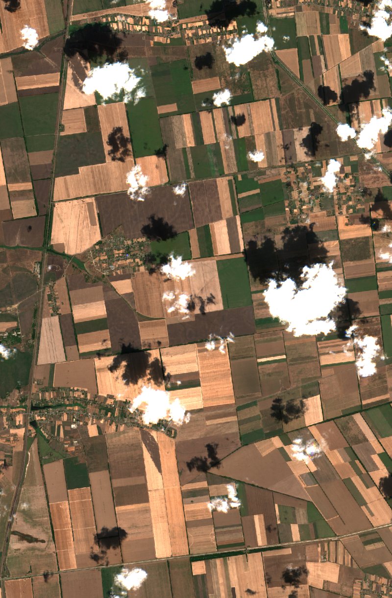 Малобілозерська сільська громада (UA) vu par Sentinel-2 le 31 juillet