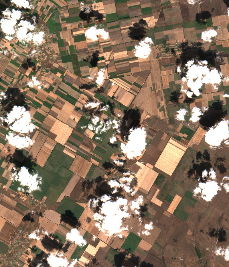 Новоолександрівська сільська громада (UA) vu par Sentinel-2 le 31 juillet