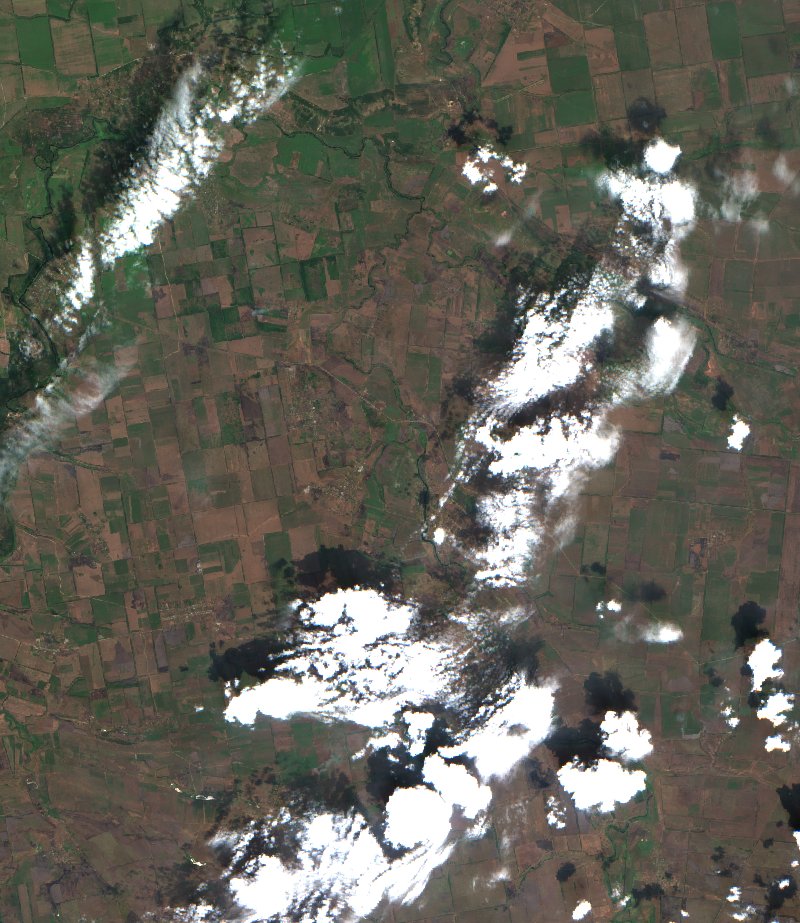 Комарська сільська громада (UA) vu par Sentinel-2 le 21 juillet