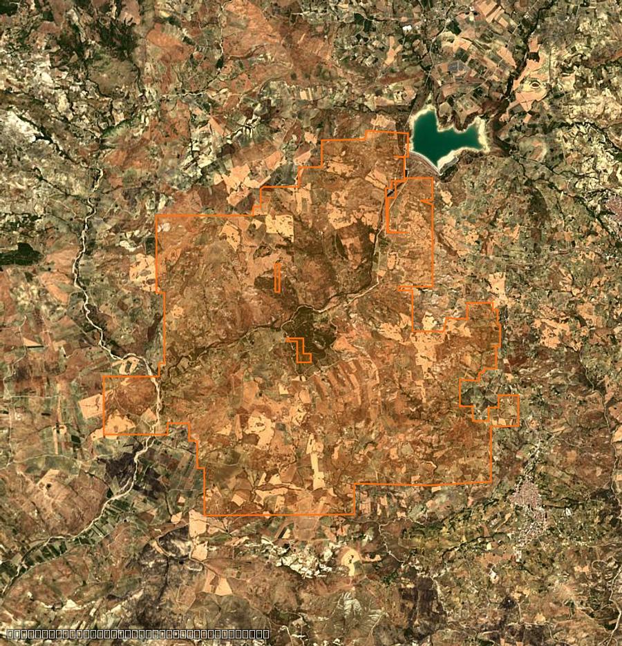 Contour de la zone brûlée de Bivona (IT), tracé sur l'imagerie satellite