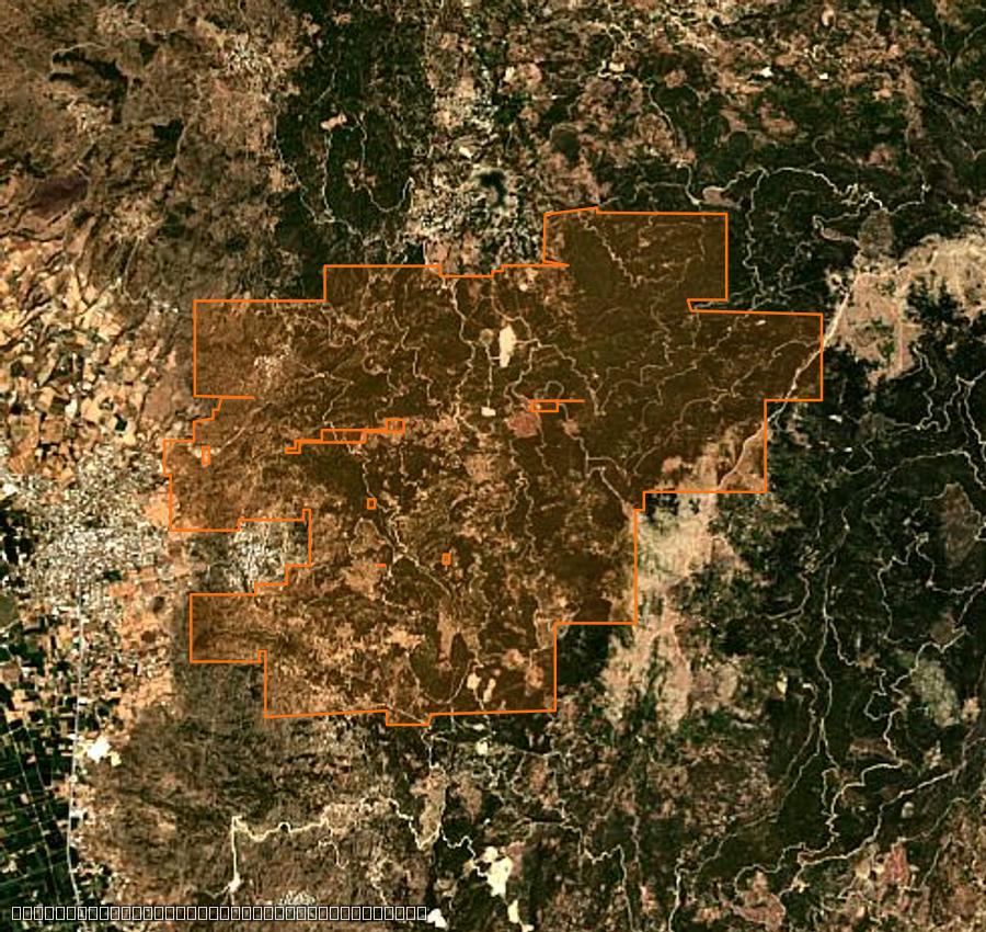 Contour de la zone brûlée de Çine (TR), tracé sur l'imagerie satellite