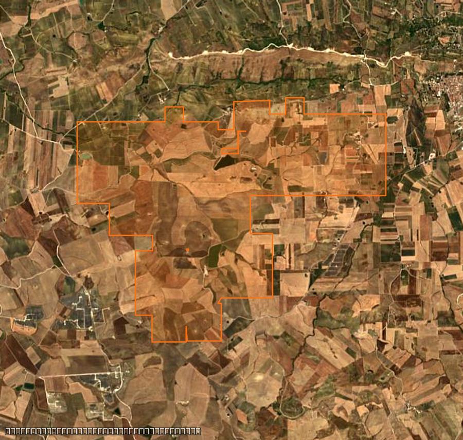 Contour de la zone brûlée de Monreale (IT), tracé sur l'imagerie satellite