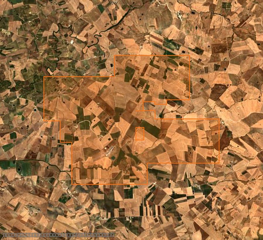 Contour de la zone brûlée de Monreale (IT), tracé sur l'imagerie satellite