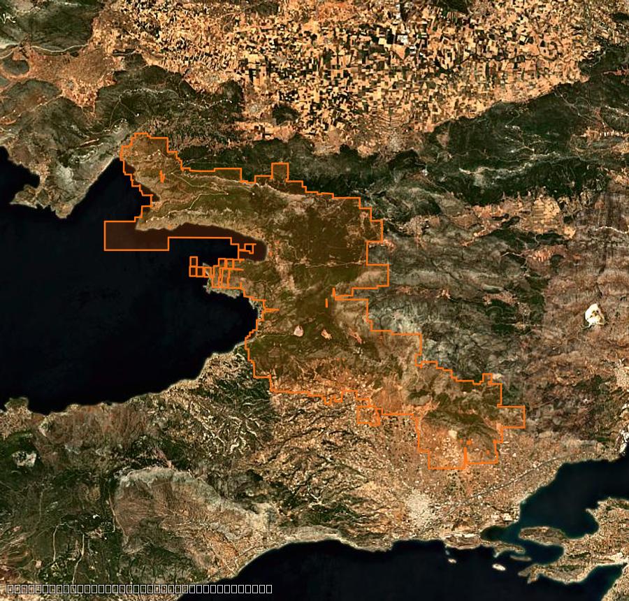 Contour de la zone brûlée de Δημοτική Ενότητα Βιλίων (GR), tracé sur l'imagerie satellite