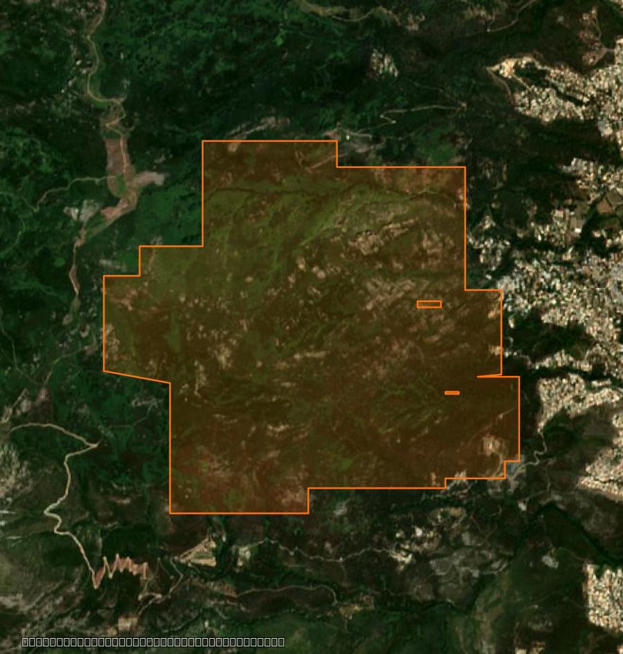Outline of the burned area near Oletta, drawn over satellite imagery