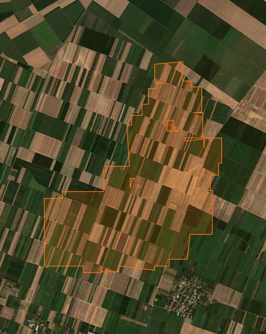 Contour de la zone brûlée de Poiana Mare (RO), tracé sur l'imagerie satellite