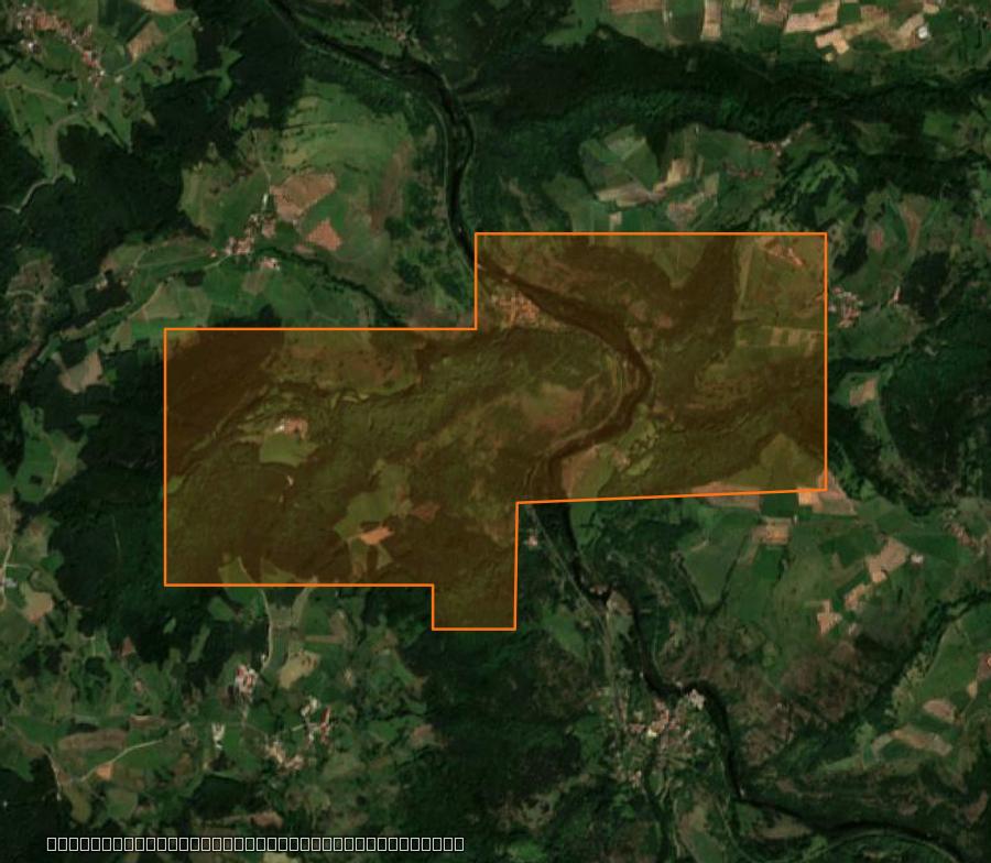 Outline of the burned area near Saint-Julien-des-Chazes, drawn over satellite imagery