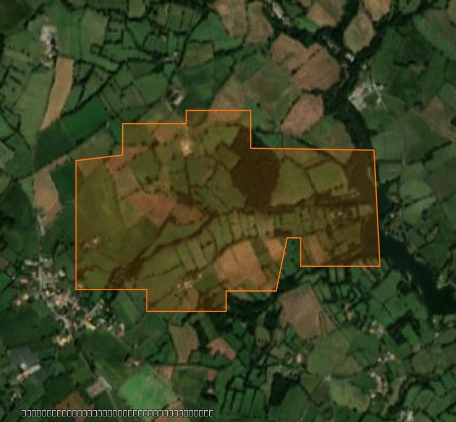 Outline of the burned area near Saint-Georges-de-Noisné, drawn over satellite imagery