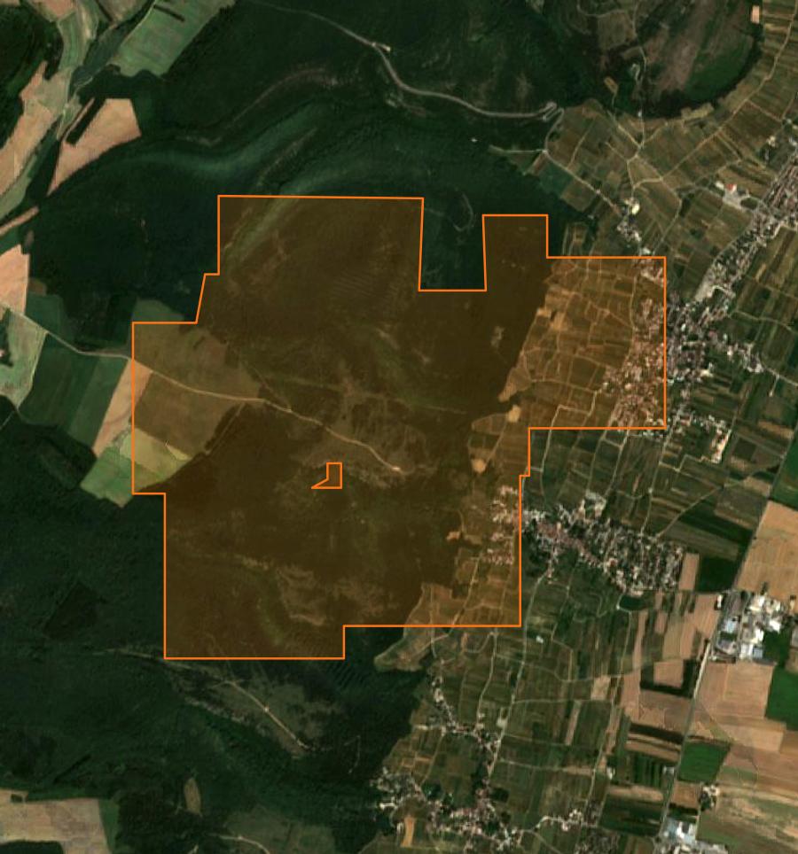Outline of the burned area near Couchey, drawn over satellite imagery